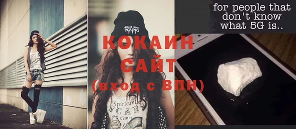 индика Гусев