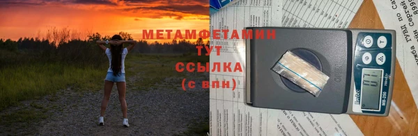 индика Гусев