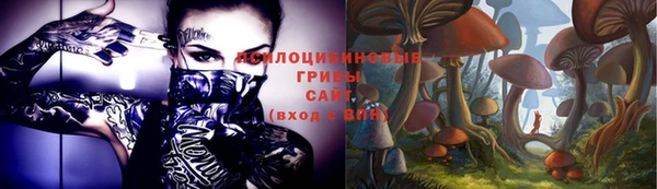 индика Гусев