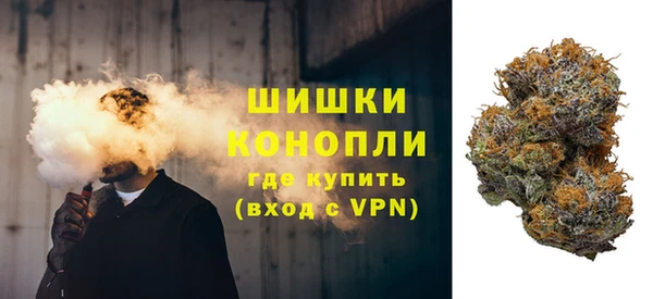индика Гусев