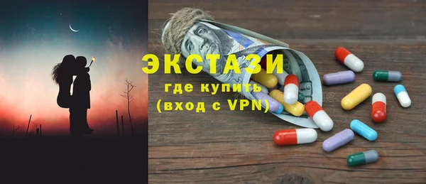 индика Гусев