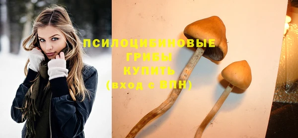 индика Гусев