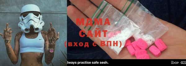 индика Гусев