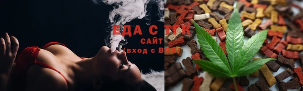 индика Гусев