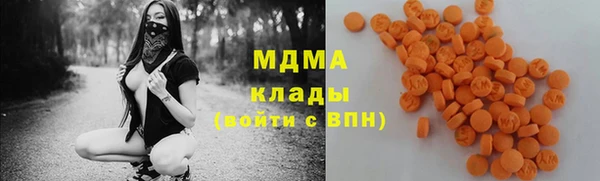 индика Гусев