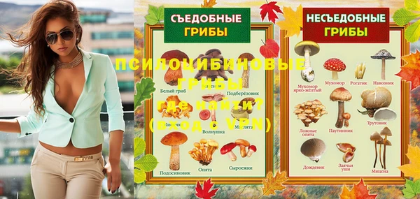 индика Гусев
