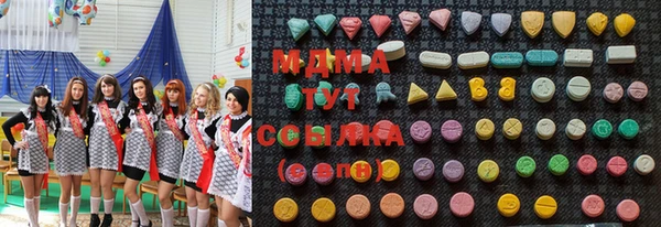 индика Гусев