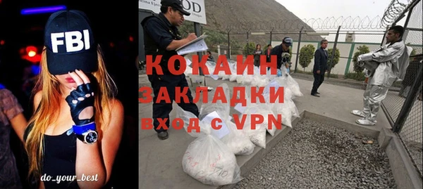 индика Гусев