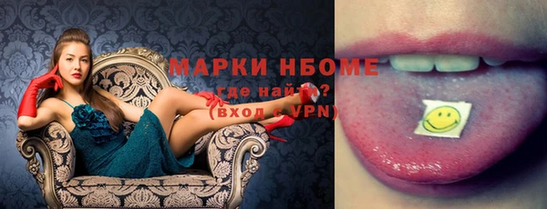 индика Гусев