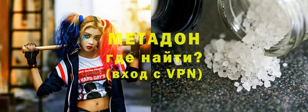 индика Гусев