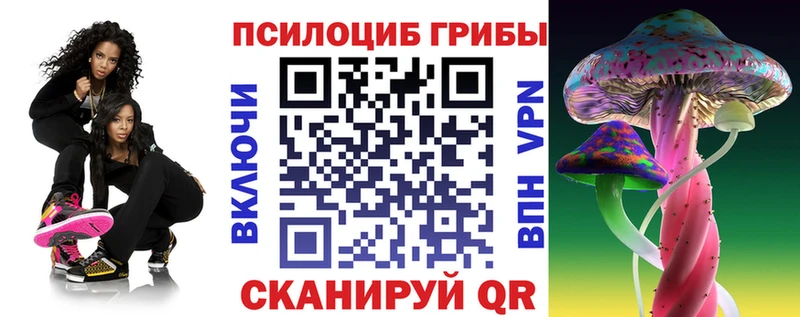 Галлюциногенные грибы Cubensis  МЕГА маркетплейс  Игарка  закладки 